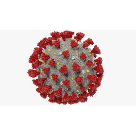3D Coronavirus V1